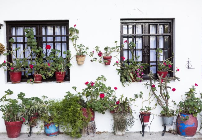 Apartamento en Hondarribia - OLERKI Apartamento en Hondarribia - OLERKI