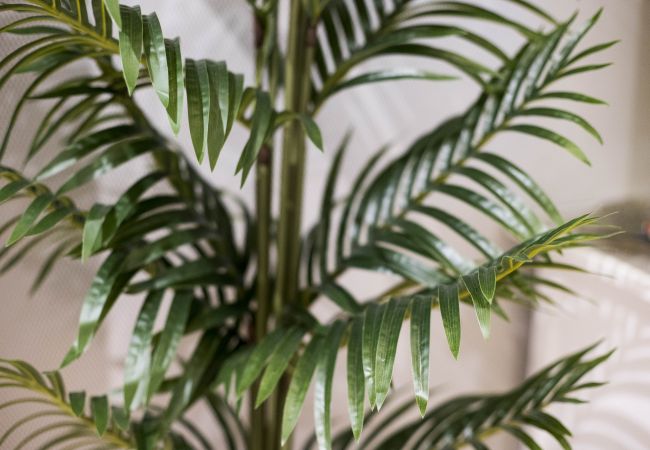 Apartment in Hondarribia - BAKEA Apartment in Hondarribia - BAKEA