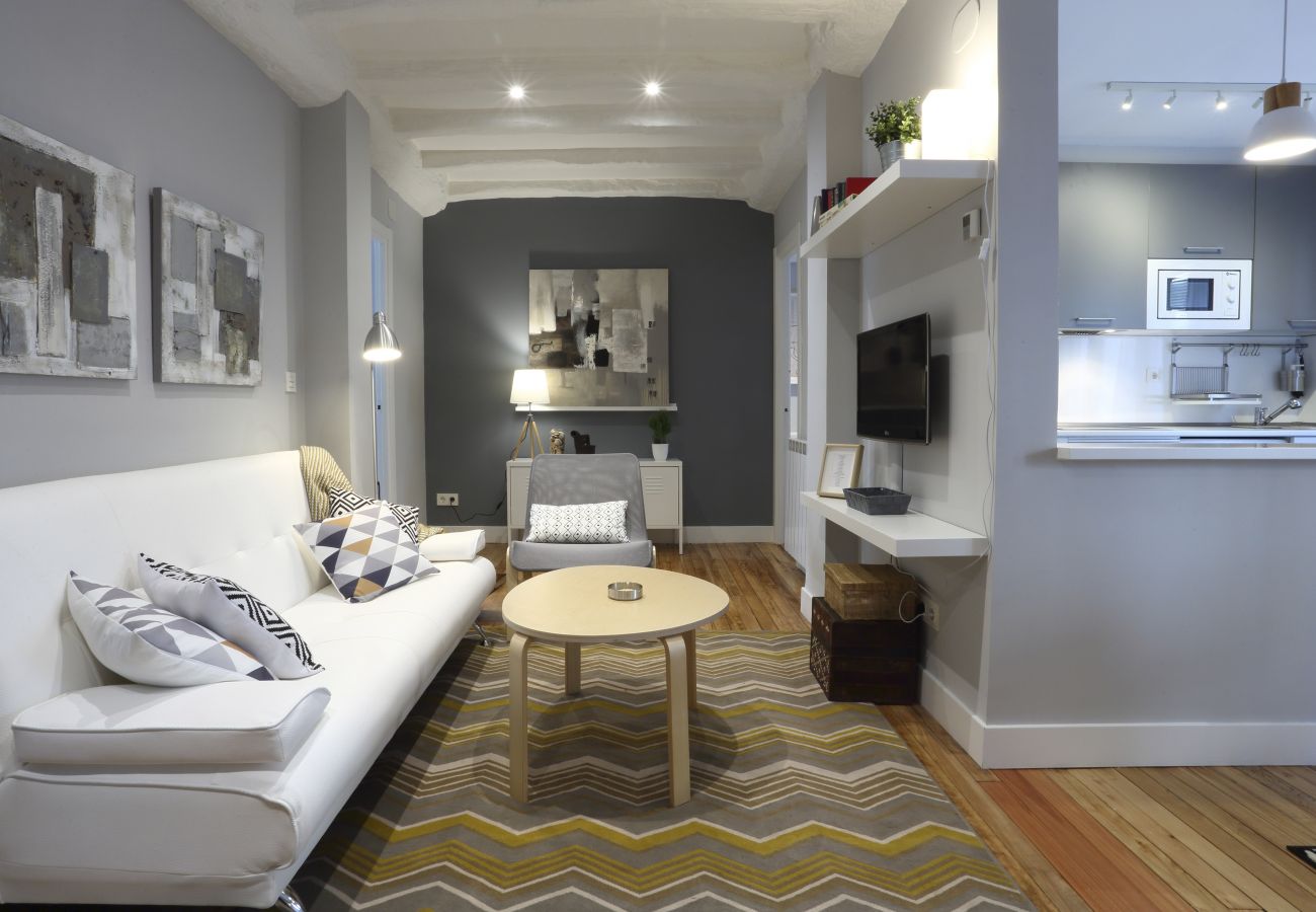 Apartment in Hondarribia - ETXARRI Apartment in Hondarribia - ETXARRI