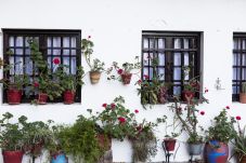 Apartment in Hondarribia - OLERKI