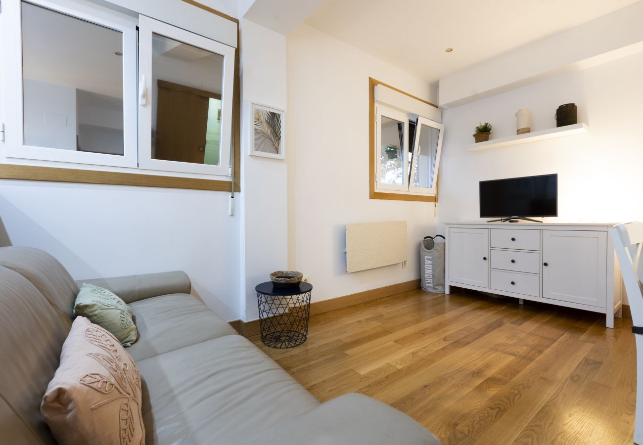 Apartment in Hondarribia - ARROLA